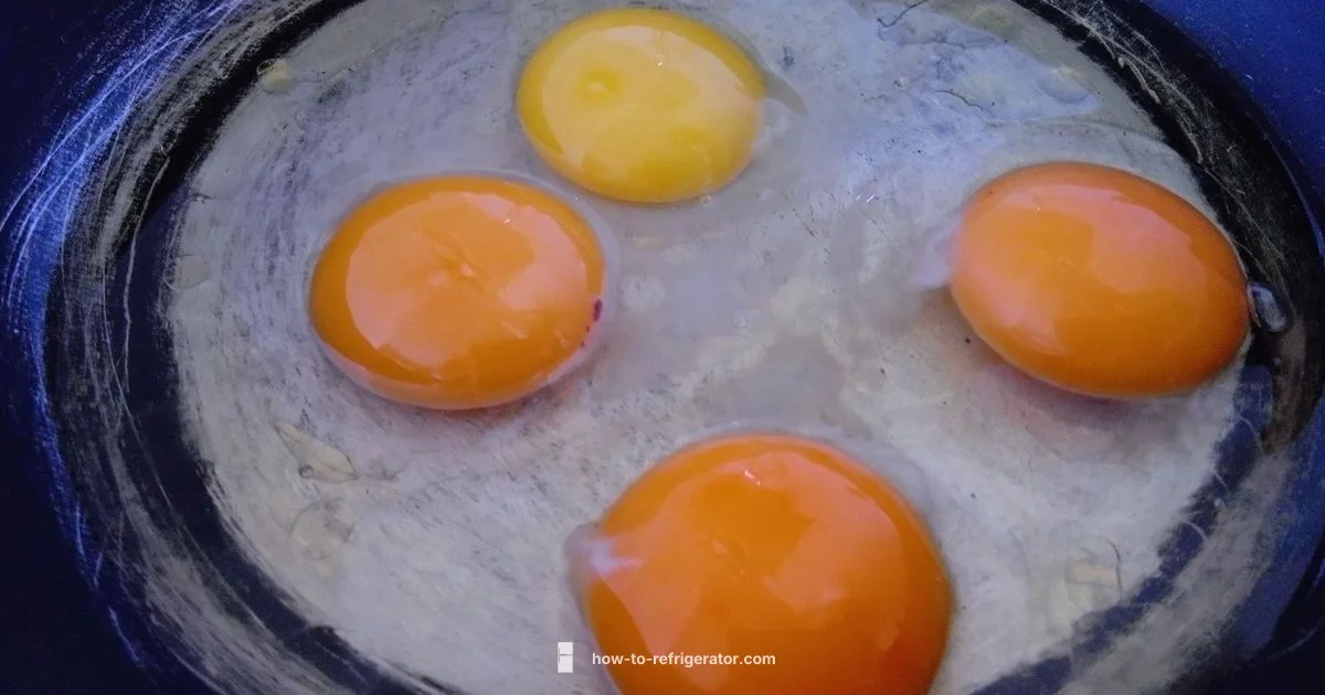 Scrambled Eggs Storage Scrambled Eggs Storage - How To Refrigerator