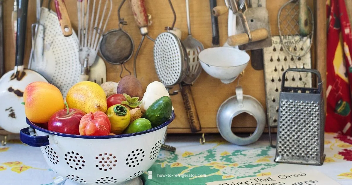 Retro Refrigerator Guide Retro Refrigerator Guide - How To Refrigerator