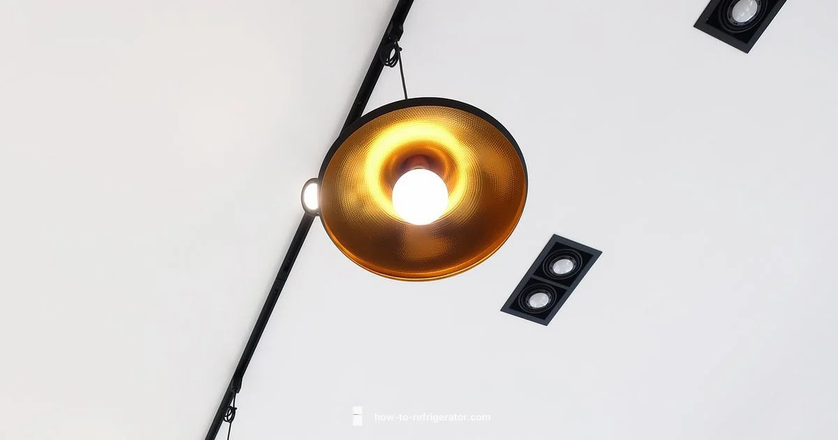 Fridge Light Bulb Fridge Light Bulb - How To Refrigerator