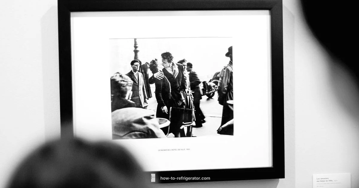 White Refrigerator - How To Refrigerator