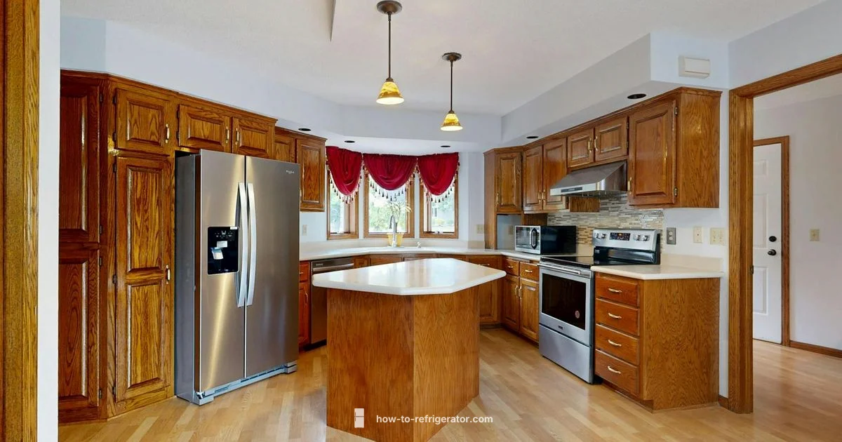 Vissani Refrigerator Review - How To Refrigerator