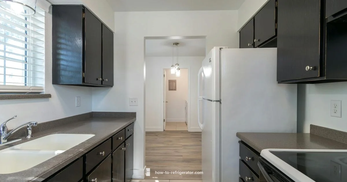 Quiet Fridge Guide - How To Refrigerator