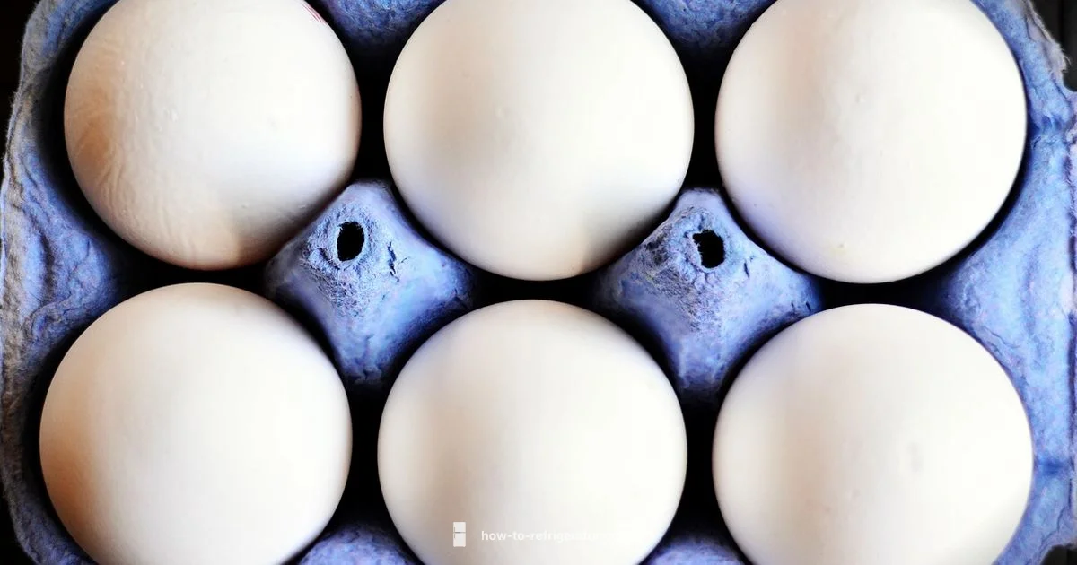 Egg Freshness Guide - How To Refrigerator