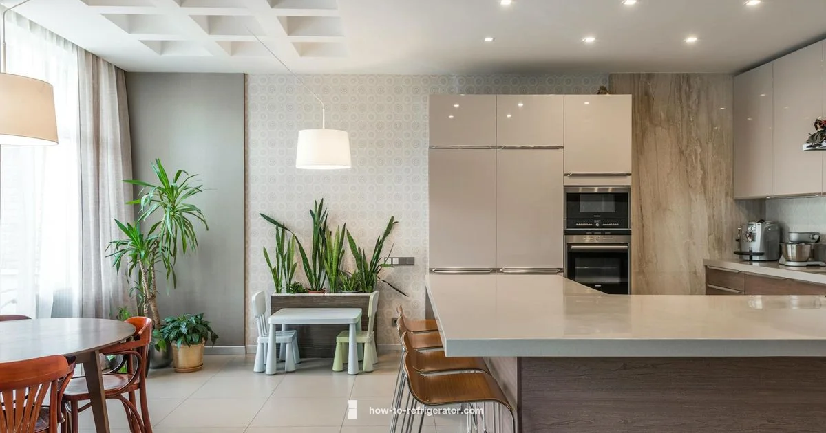 Gaggenau Fridge Guide - How To Refrigerator