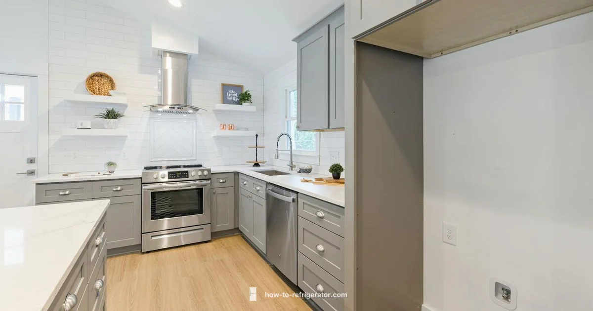 Fridge Filter Basics Fridge Filter Basics - How To Refrigerator