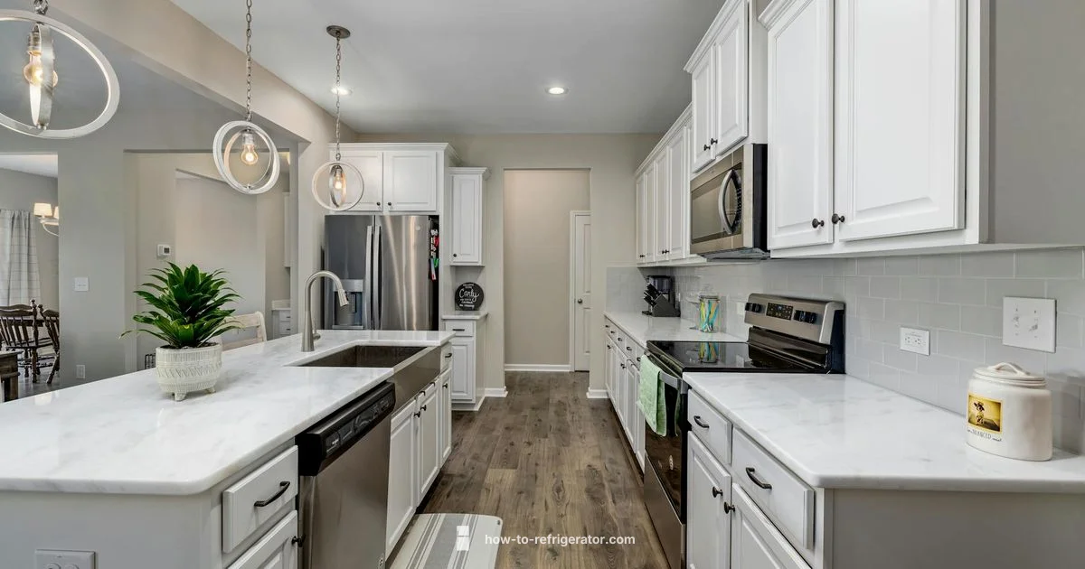 Fridge Use Guide - How To Refrigerator