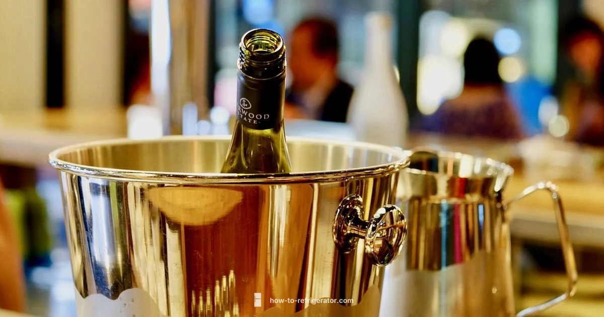 Small Wine Fridge Guide - How To Refrigerator