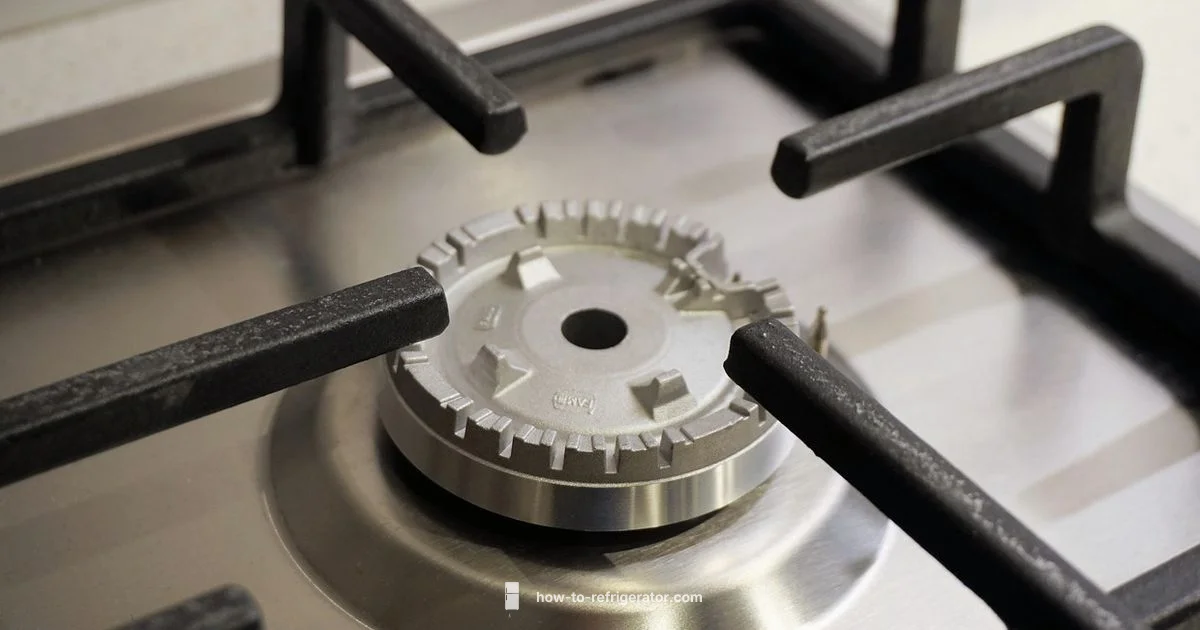 Gas Refrigerator Service - How To Refrigerator