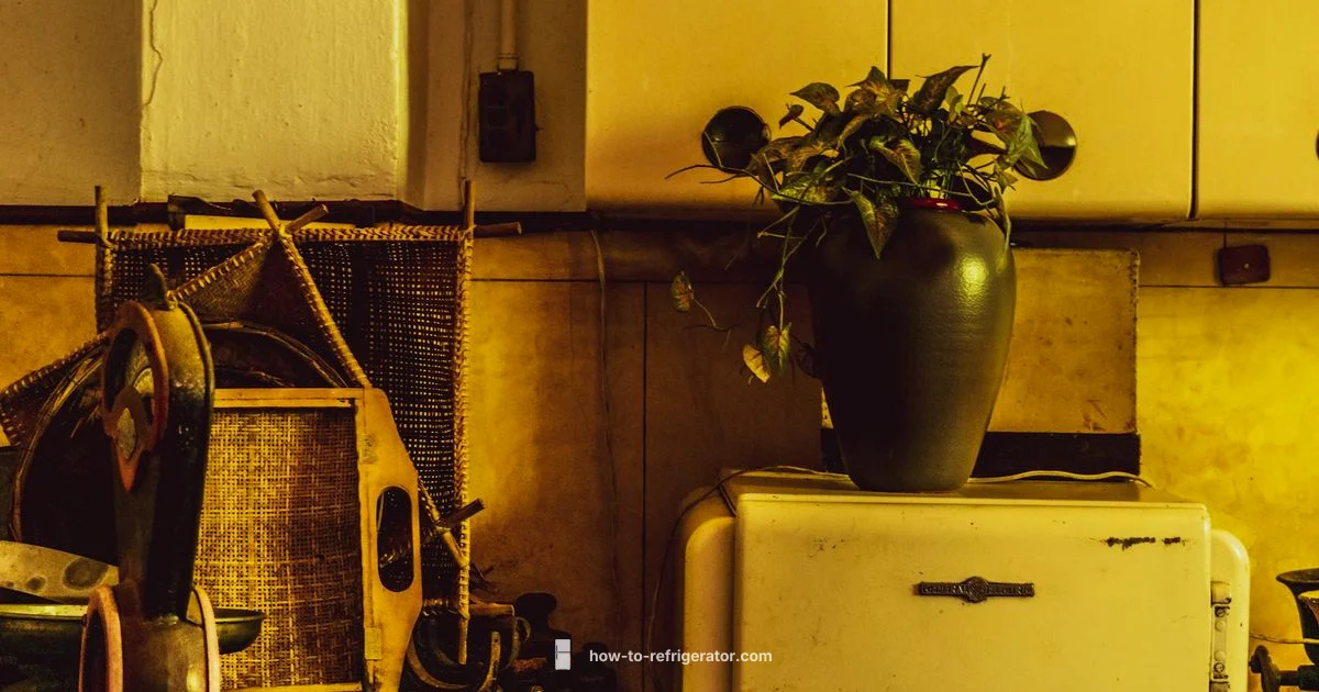 Outdoor Fridge Cabinet - How To Refrigerator