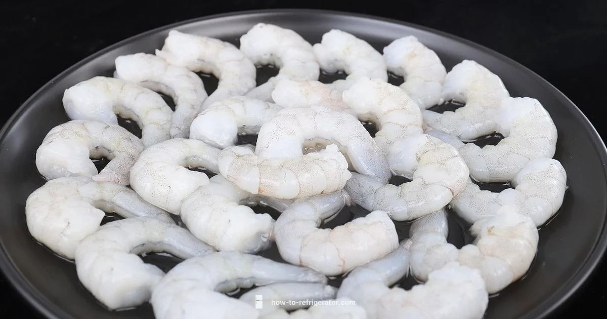 Fridge Shrimp Shelf Life - How To Refrigerator
