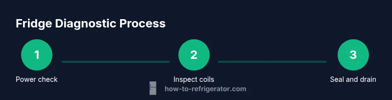Process diagram showing fridge diagnostic steps