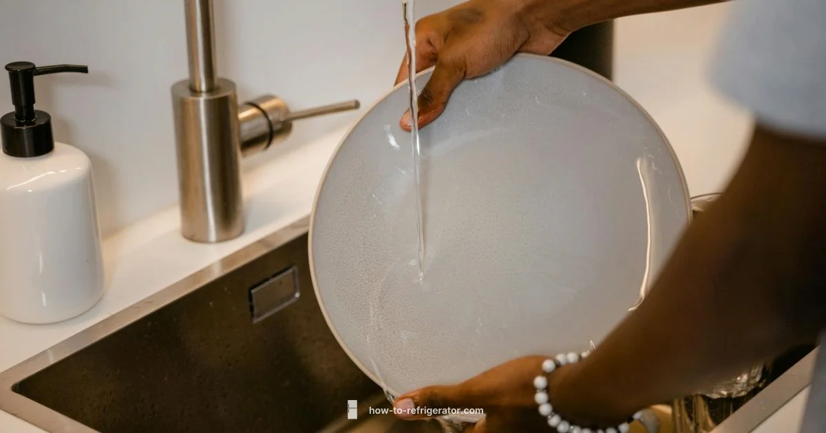 Water & Ice Dispenser - How To Refrigerator