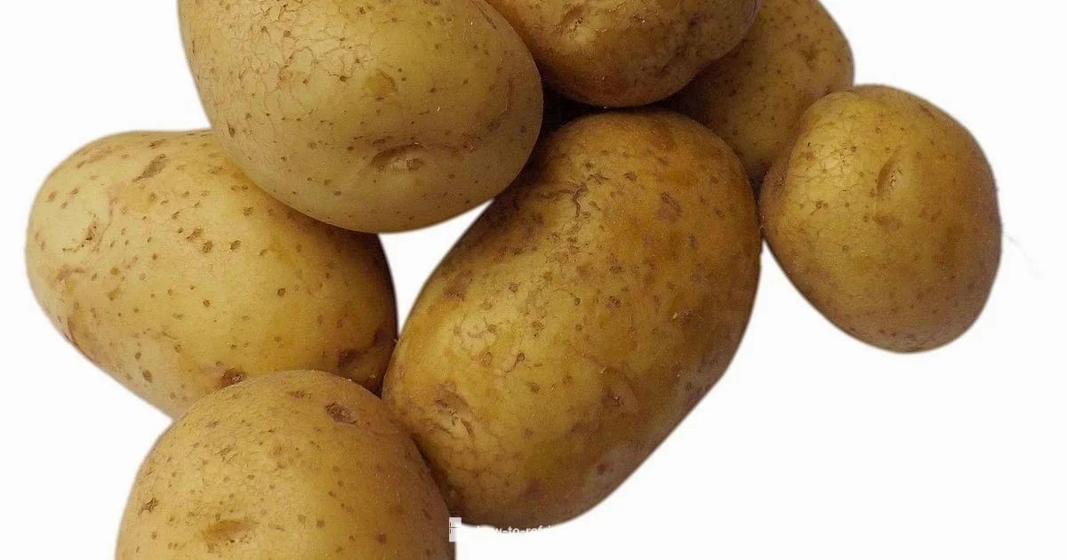 Potato Fridge Guide Potato Fridge Guide - How To Refrigerator