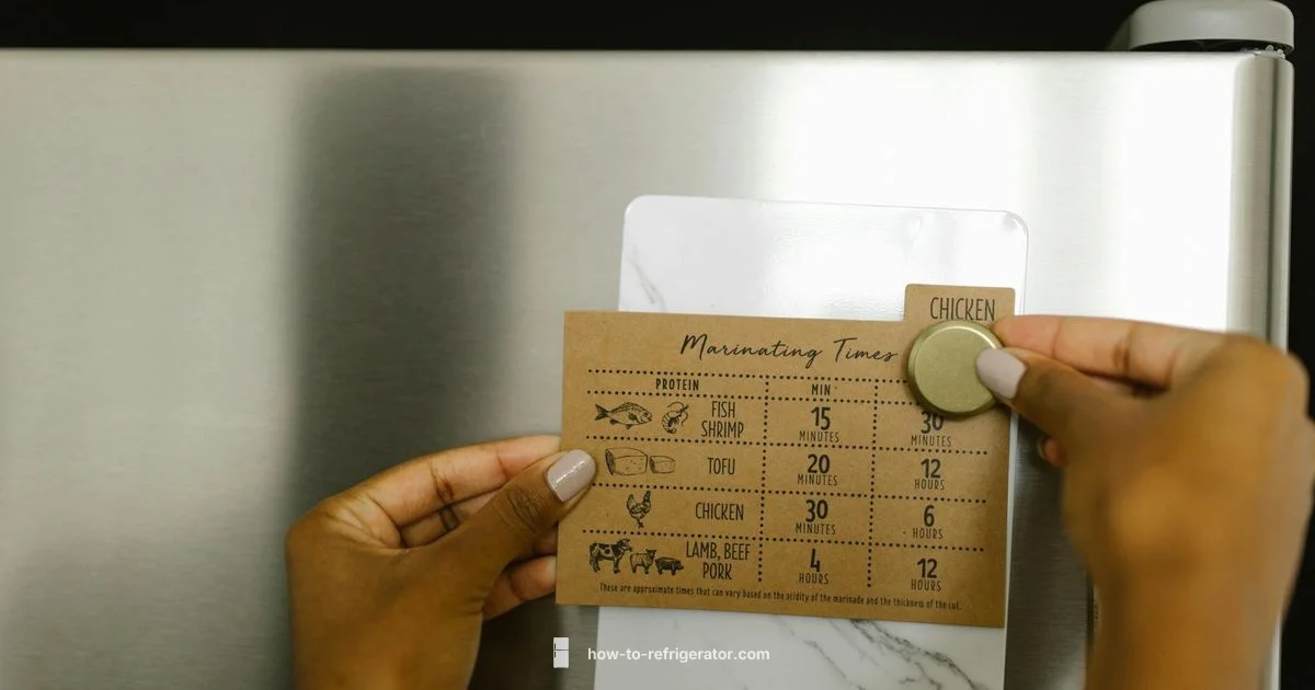 Fridge Magnet Setup - How To Refrigerator