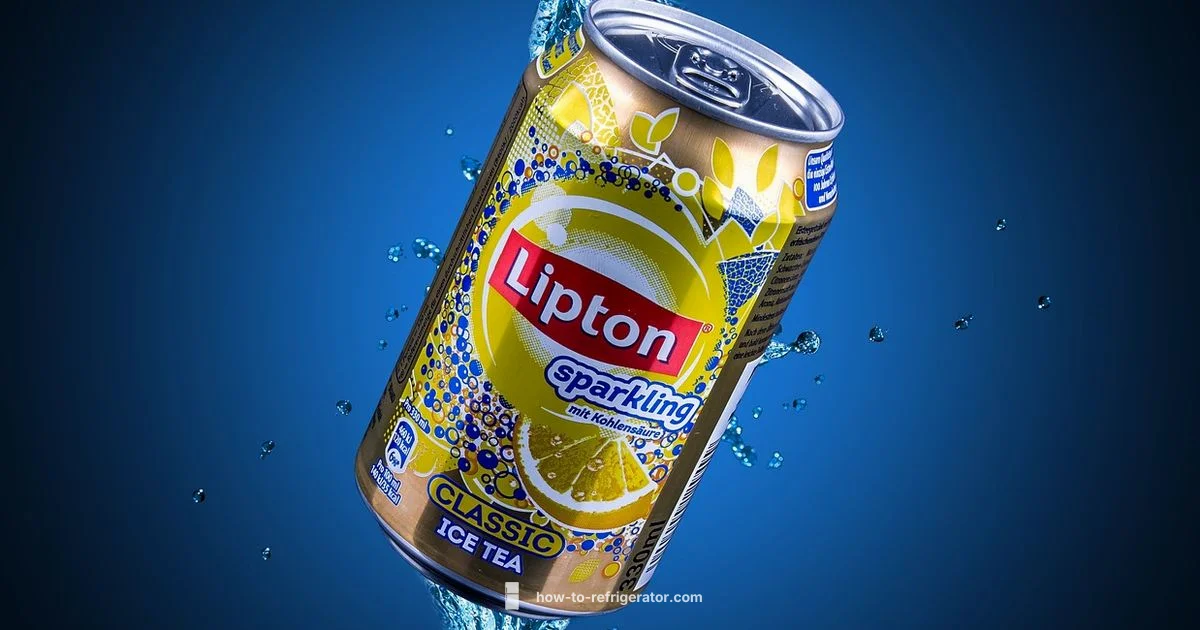 Ice Dispenser Guide - How To Refrigerator