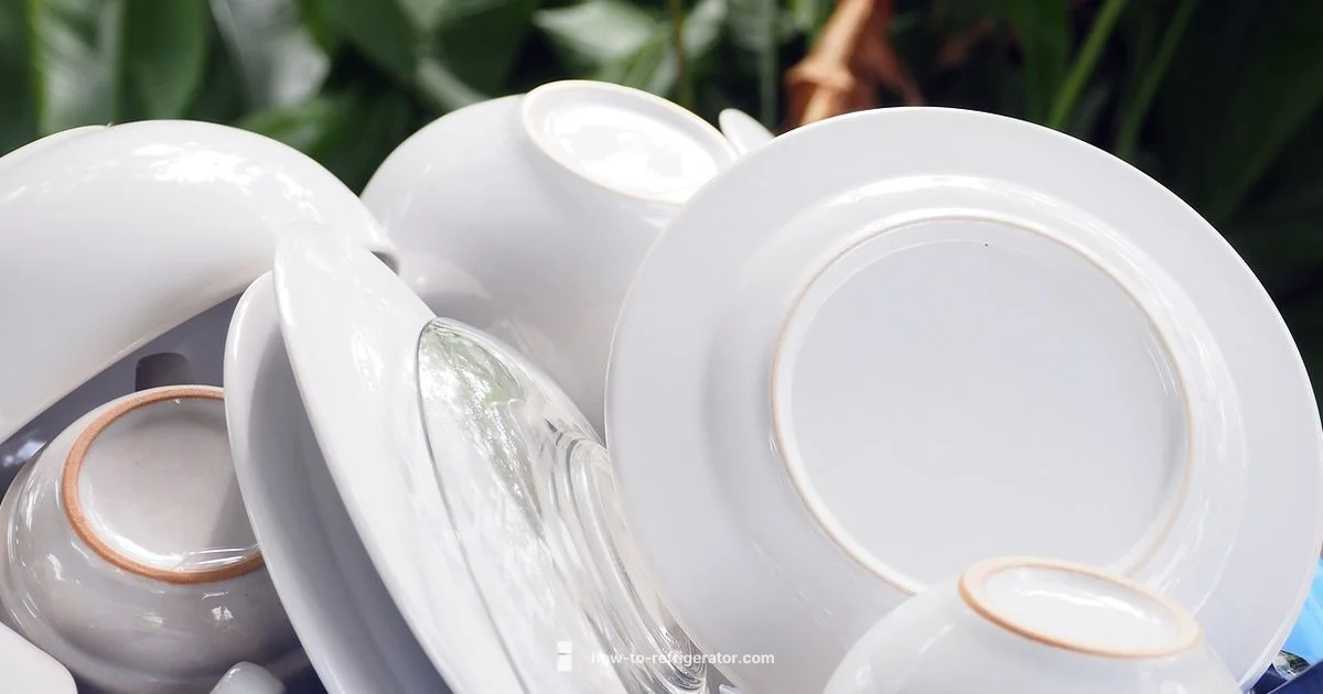 Fridge Storage Solutions - How To Refrigerator