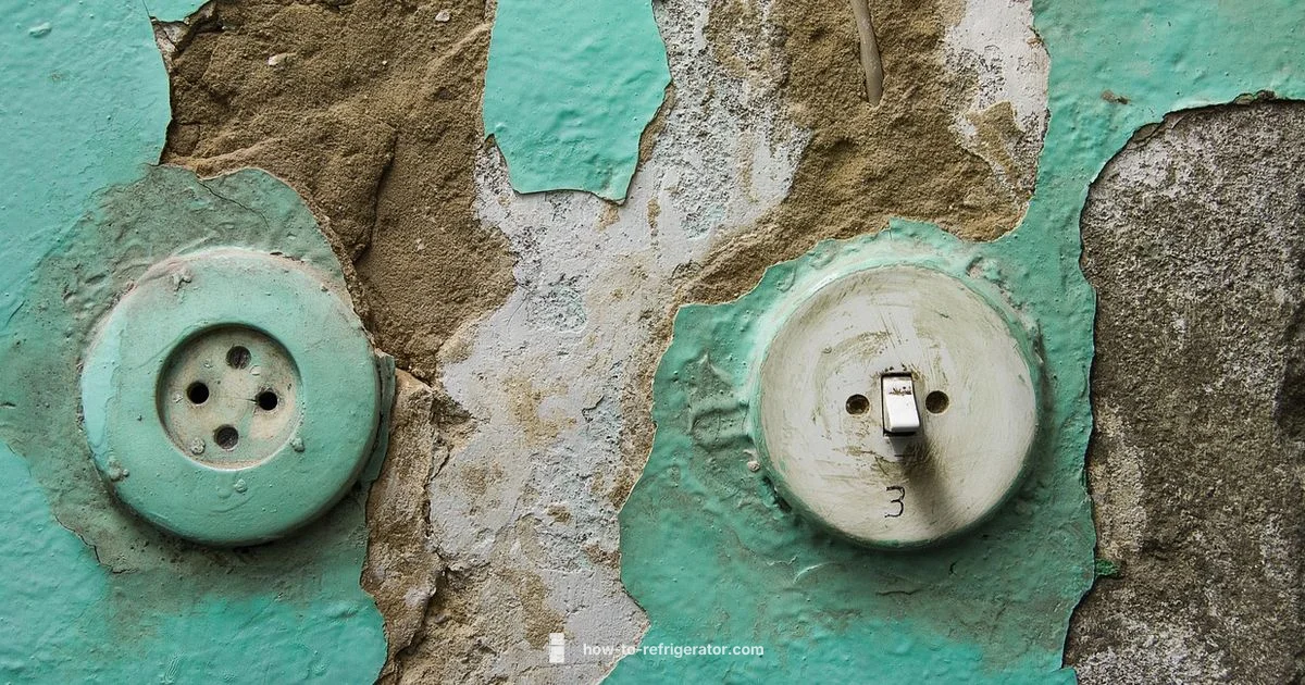 Refrigerator Outlet Guide - How To Refrigerator