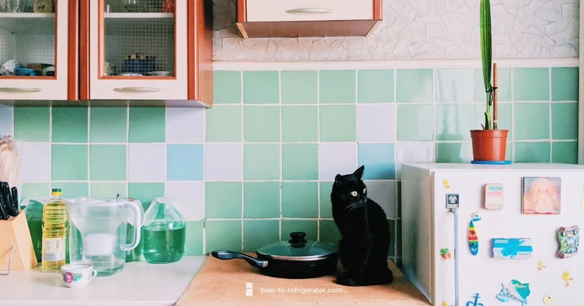 Bottom Water Fix - How To Refrigerator