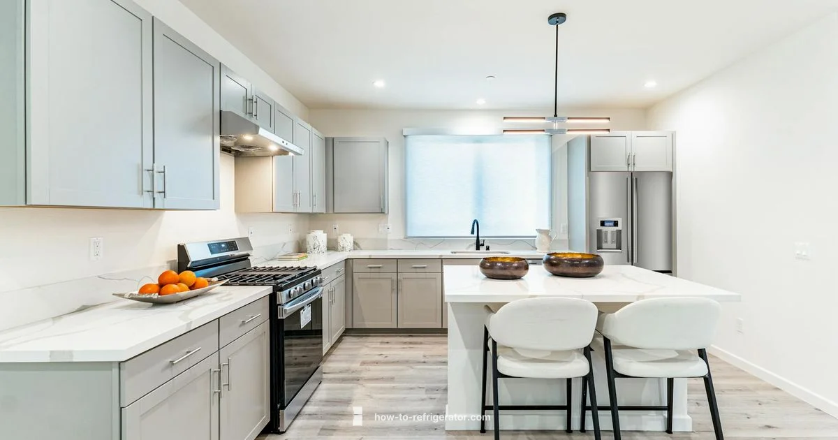 Is It Good to Refrigerator - How To Refrigerator