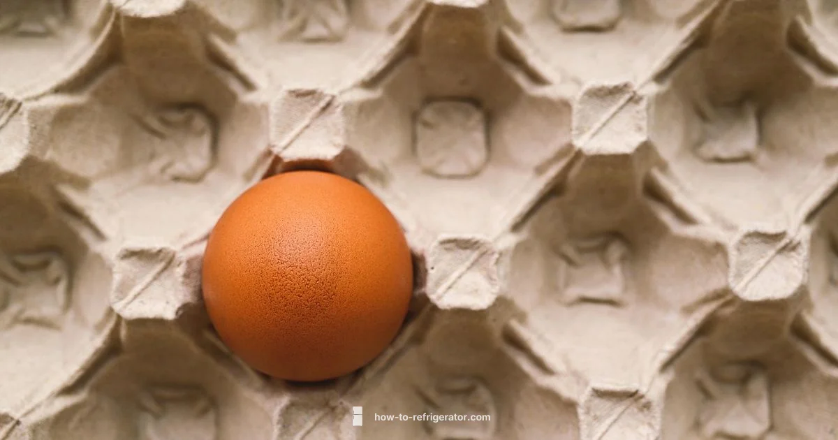 Egg Freshness Guide - How To Refrigerator