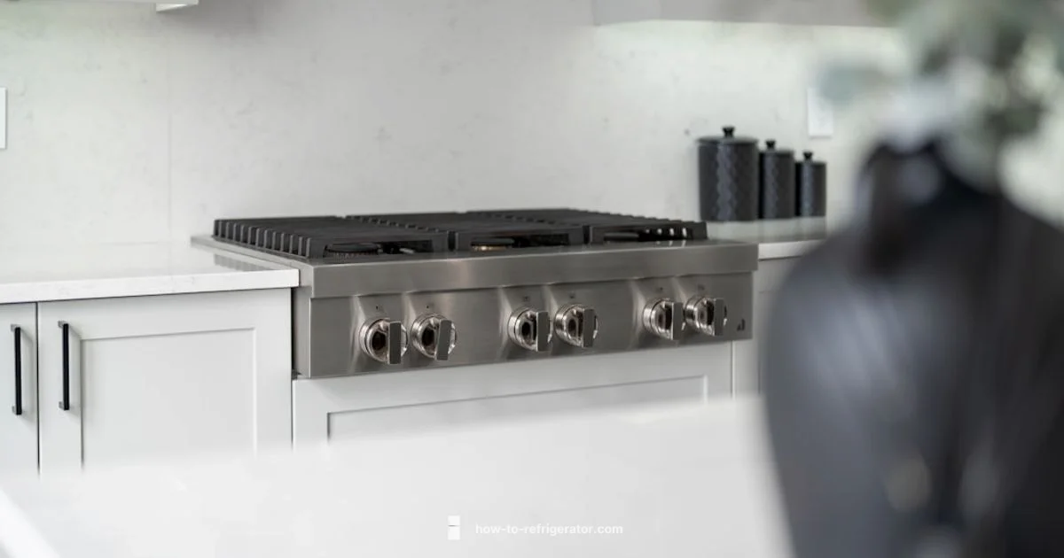 Counter Depth Ice Maker Counter Depth Ice Maker - How To Refrigerator