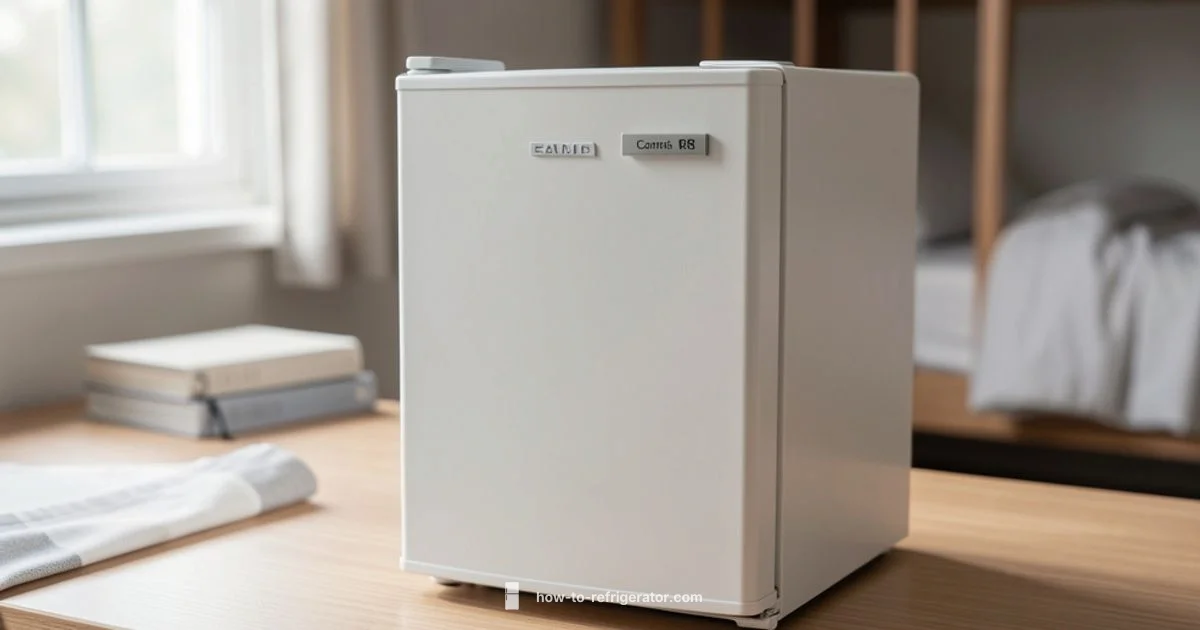 Compact Mini Fridge - How To Refrigerator