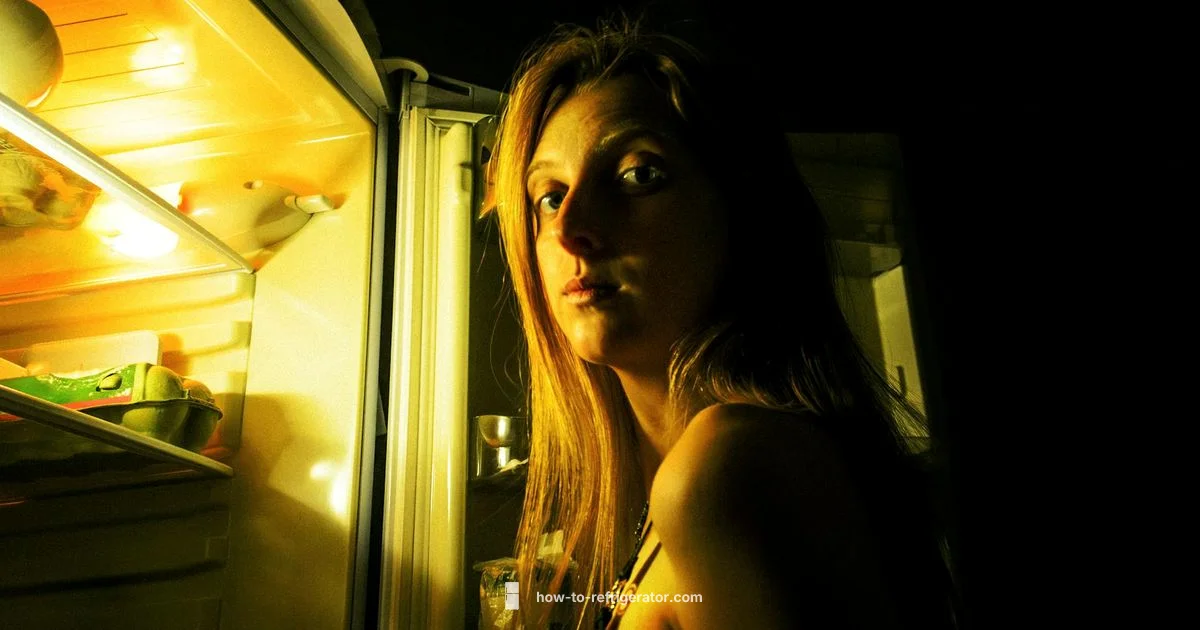 Buzzing Fridge Fix Buzzing Fridge Fix - How To Refrigerator