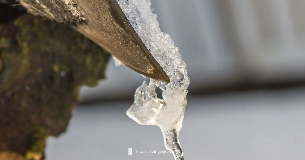 Fridge Defrost Cycle - How To Refrigerator