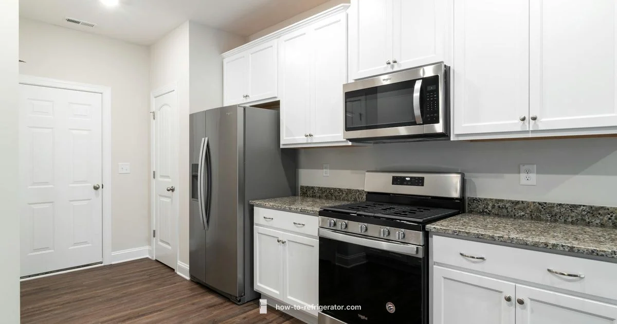 Compact Kitchen Fridge - How To Refrigerator