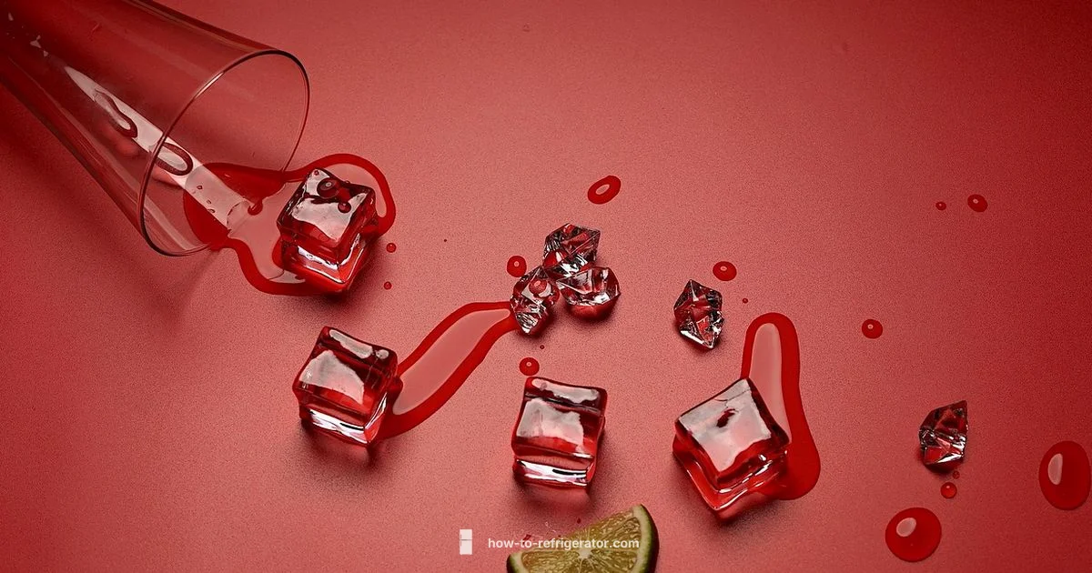 Salt and Fridge Safety - How To Refrigerator