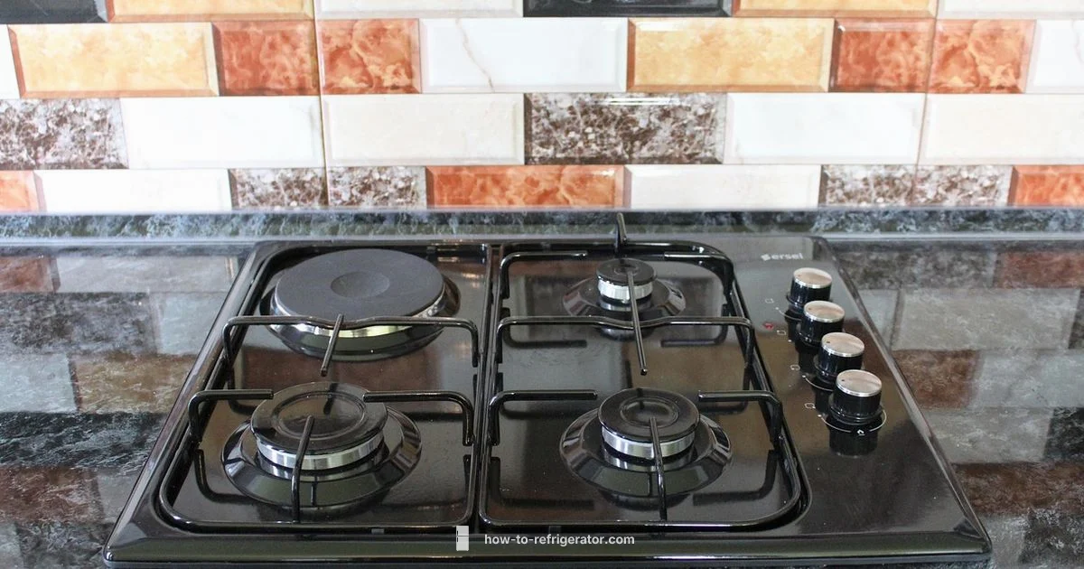 Refrigerator Basics - How To Refrigerator