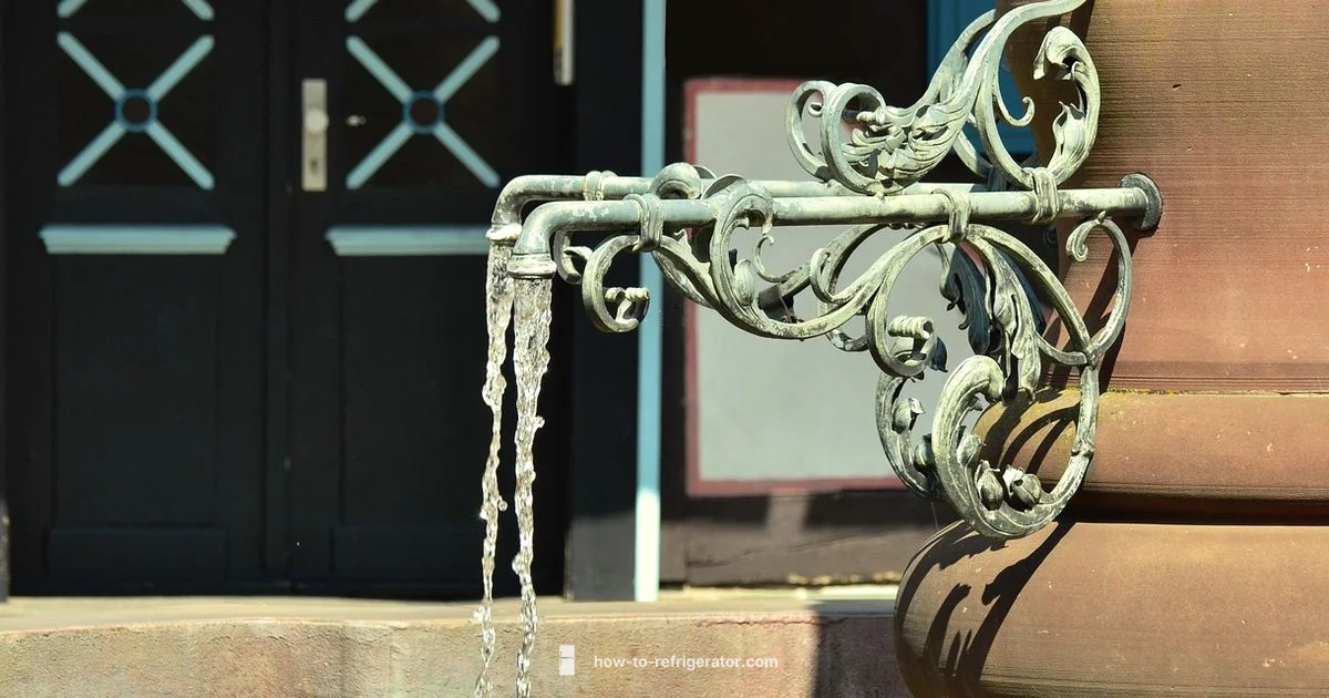 Water: fridge vs distilled Water: fridge vs distilled - How To Refrigerator