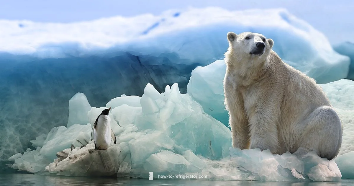 Ice Cooler Picks - How To Refrigerator