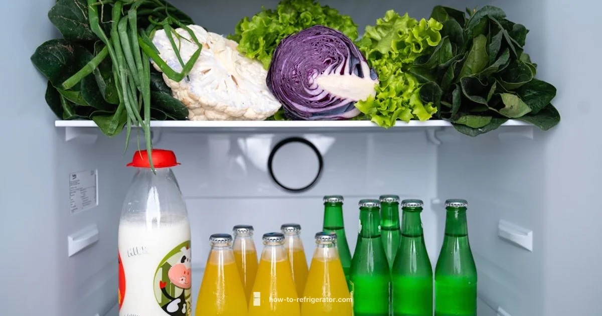 Freezer Cycle Basics - How To Refrigerator