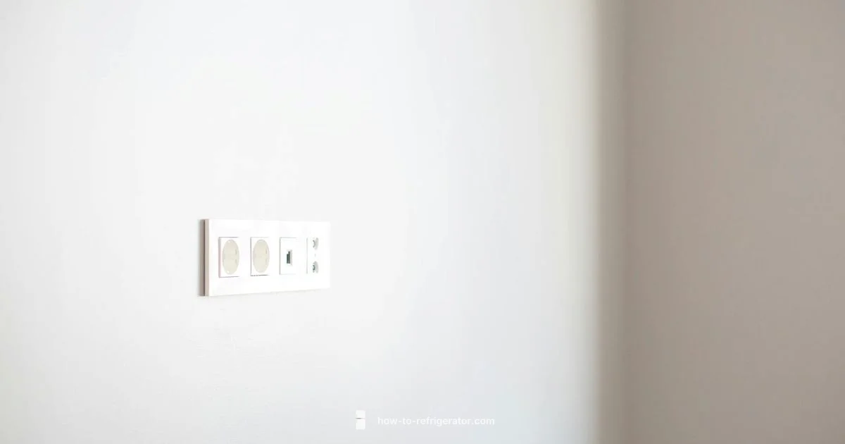 Refrigerator Outlet Guide - How To Refrigerator