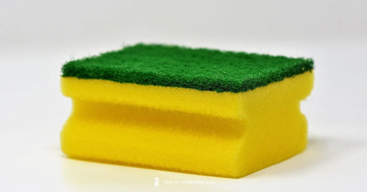 Shelf Cleaning Guide - How To Refrigerator