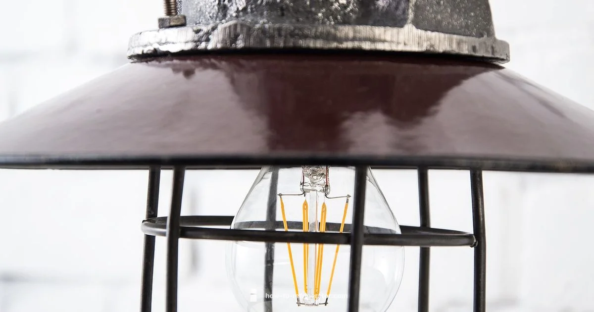 Fridge Bulb Basics - How To Refrigerator