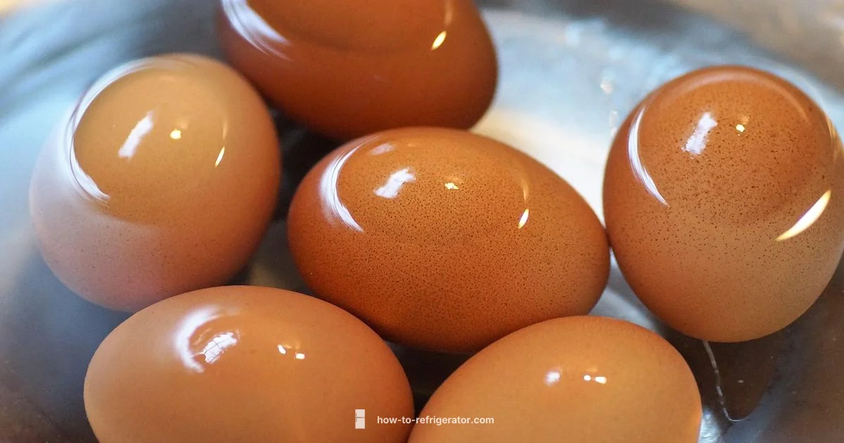 Egg Shelf Life Egg Shelf Life - How To Refrigerator