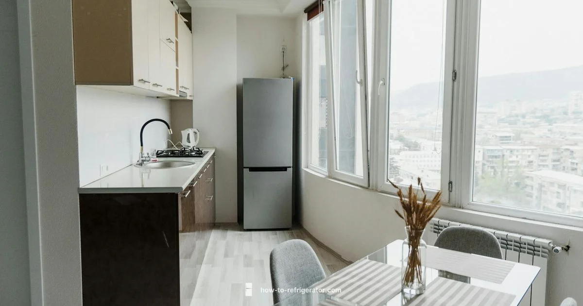 How Fridges Work - How To Refrigerator