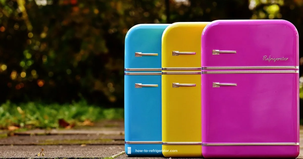 Moving a Fridge Safely - How To Refrigerator