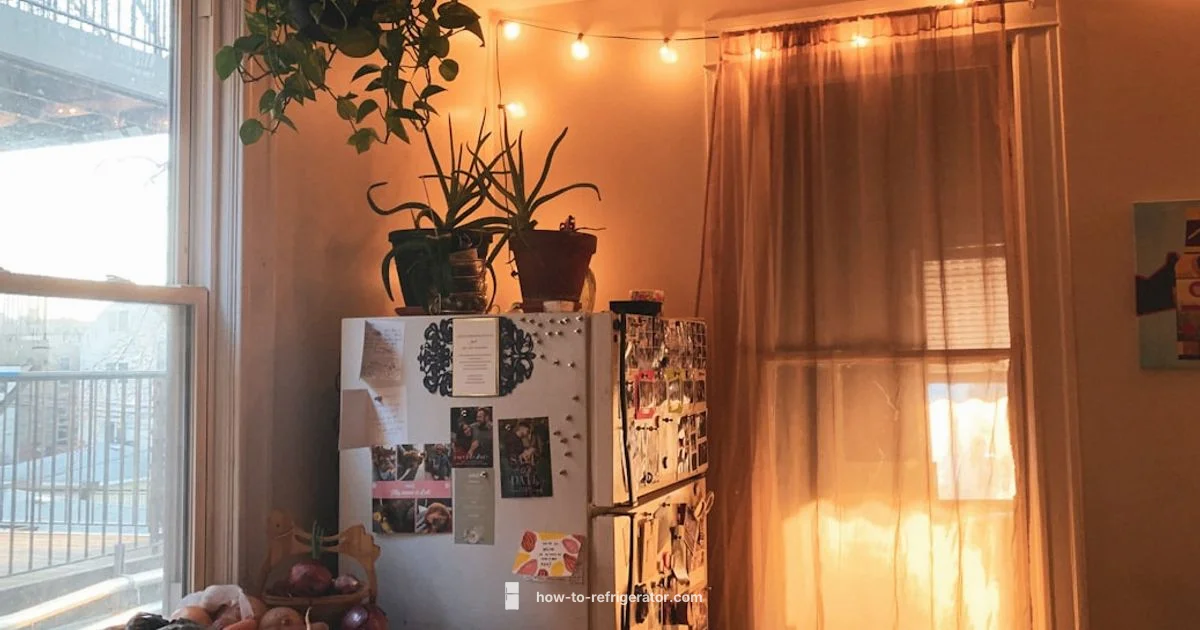 Urgent Cold Fix - How To Refrigerator