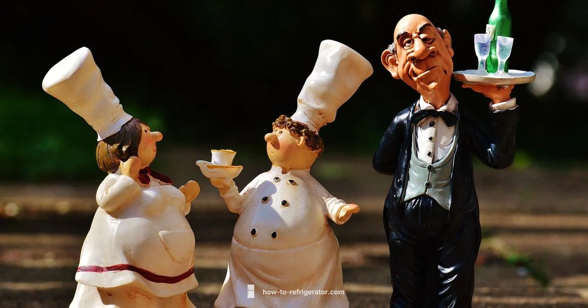 Wine Cooler Guide - How To Refrigerator