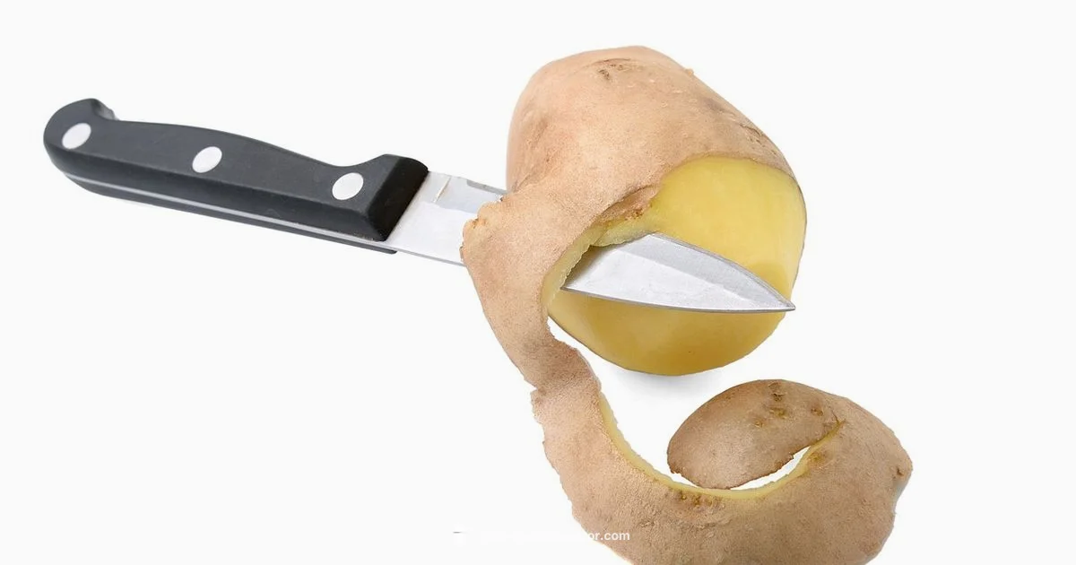 How a Fridge Works - How To Refrigerator