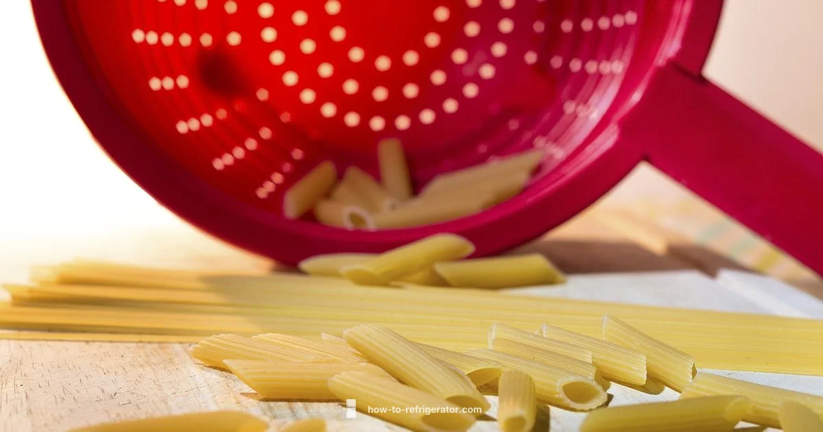 Kitchen Appliance Guide - How To Refrigerator