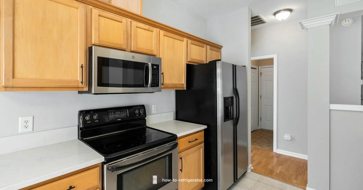 Energy Efficient Fridge Energy Efficient Fridge - How To Refrigerator