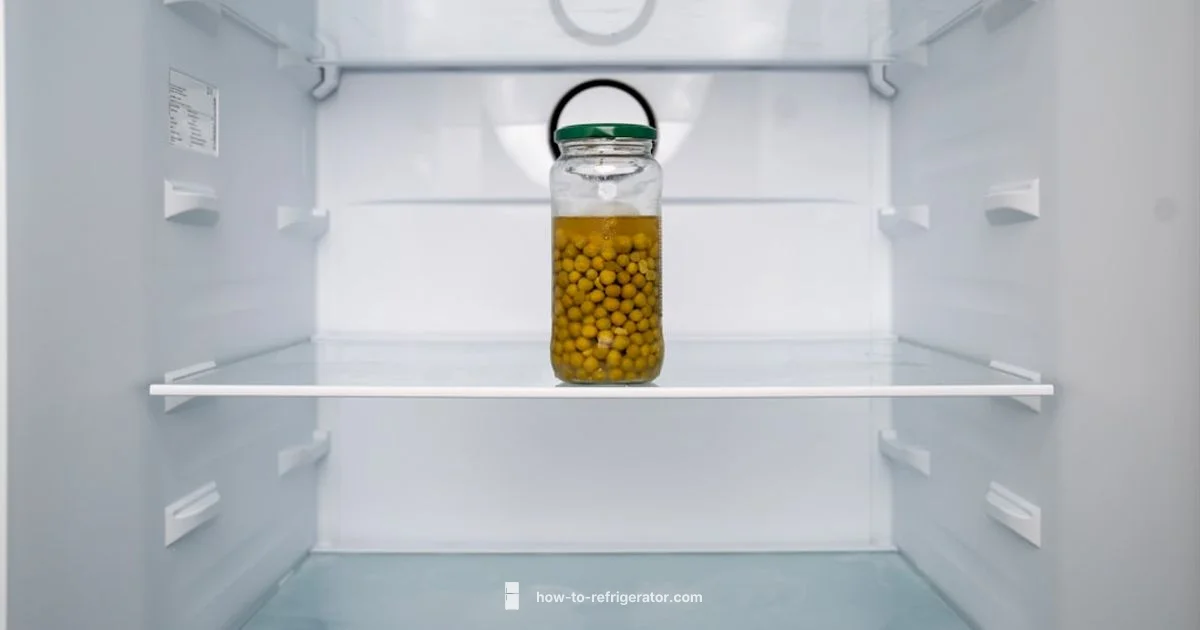 Unplugged Fridge Odor - How To Refrigerator