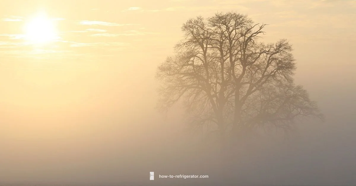 Unplugged Fridge Guide Unplugged Fridge Guide - How To Refrigerator