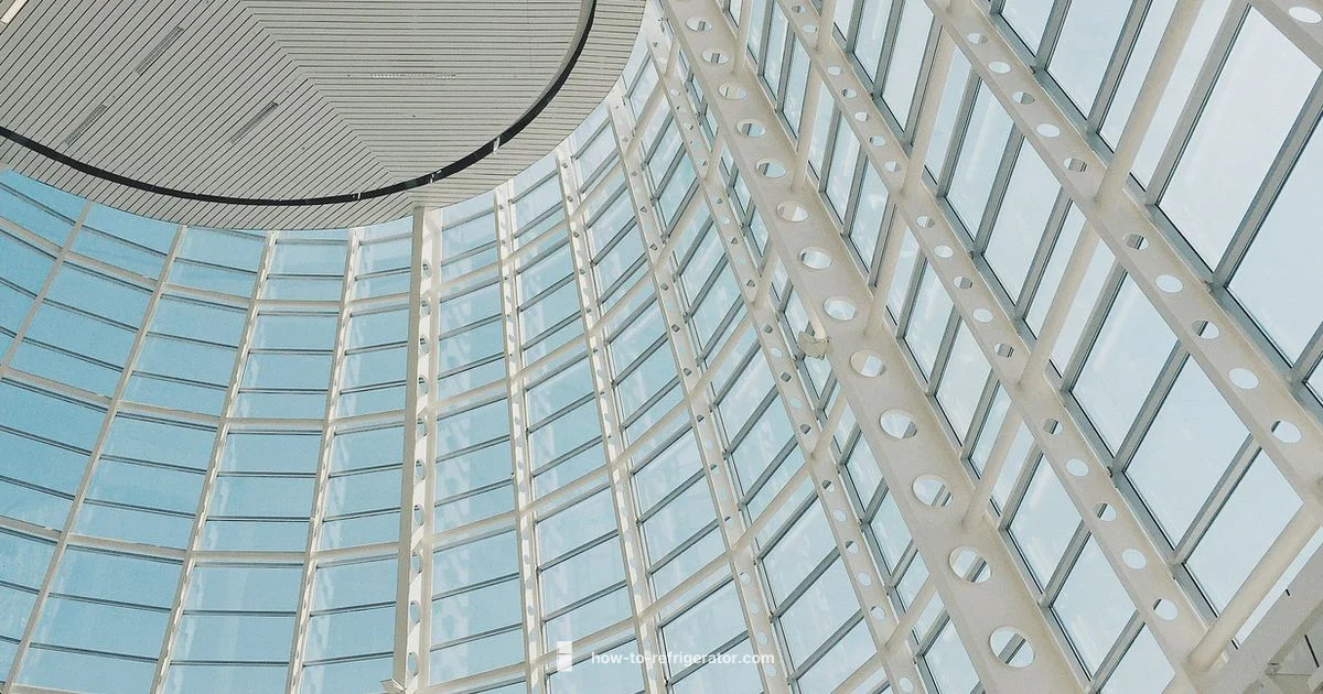 Buying a Refrigerator - How To Refrigerator