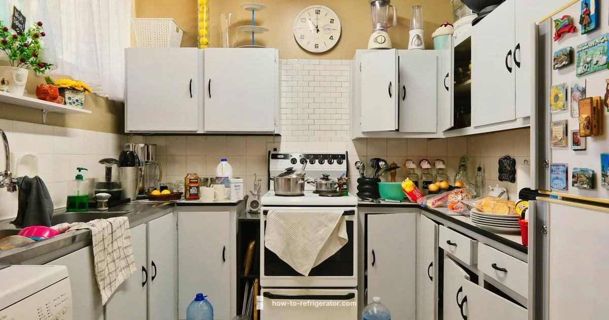 Old Fridge Guide - How To Refrigerator