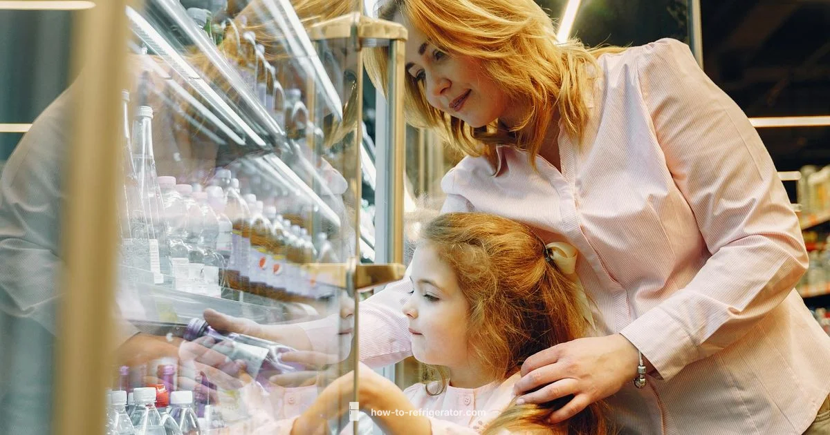 Ice Maker Free Guide Ice Maker Free Guide - How To Refrigerator